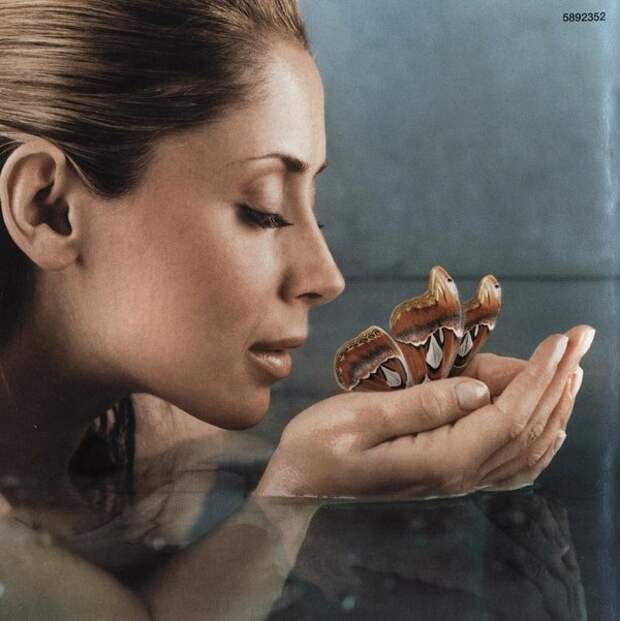 Lara Fabian photo, picture, image, pic 46