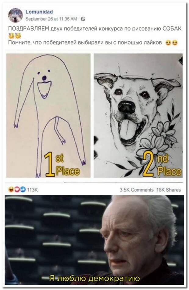 setey-socialnyh-kommentarii-citaty-vkontakte-vkontakte-smeshnye-statusy