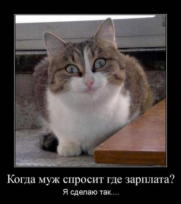 clip_image028