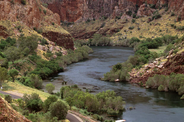 Пловец проплыл 55 километров по кишащей крокодилами реке