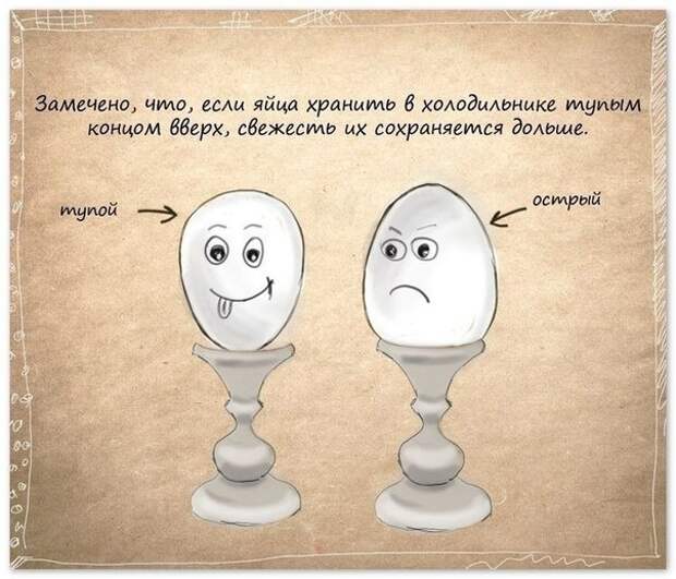 Полезные советы в картинках
