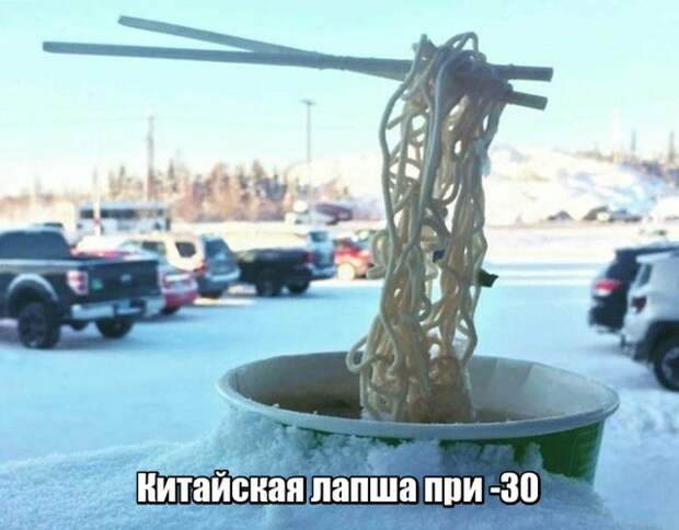 Подборка картинок. Дневной выпуск (57 фото)