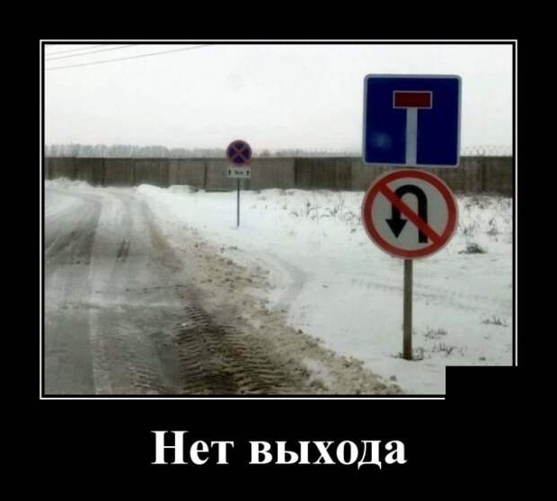 Веселые и прикольные демотиваторы из сети для поднятия настроения (10 фото)