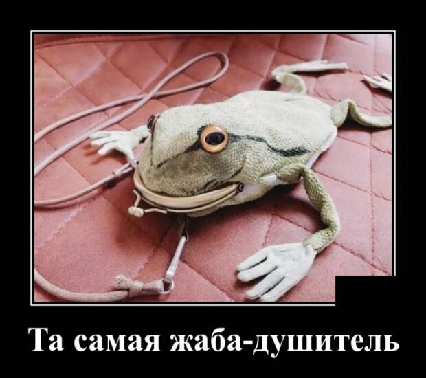 Демотиваторы (20 фото)