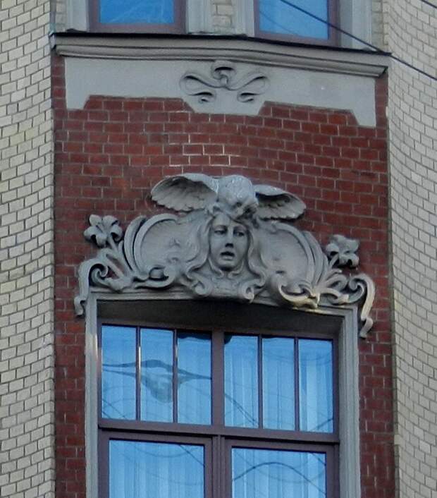 Питерские совы