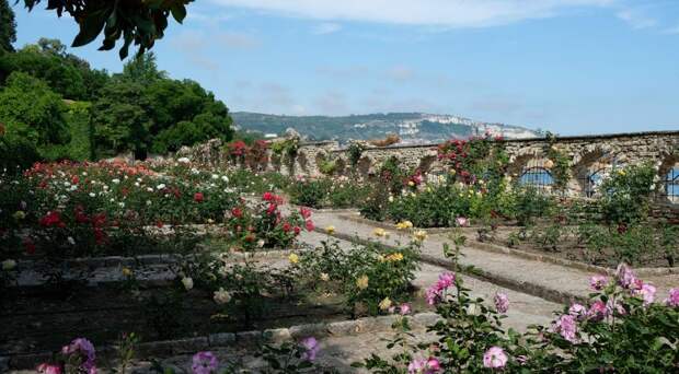 Фото: Анна Попкова