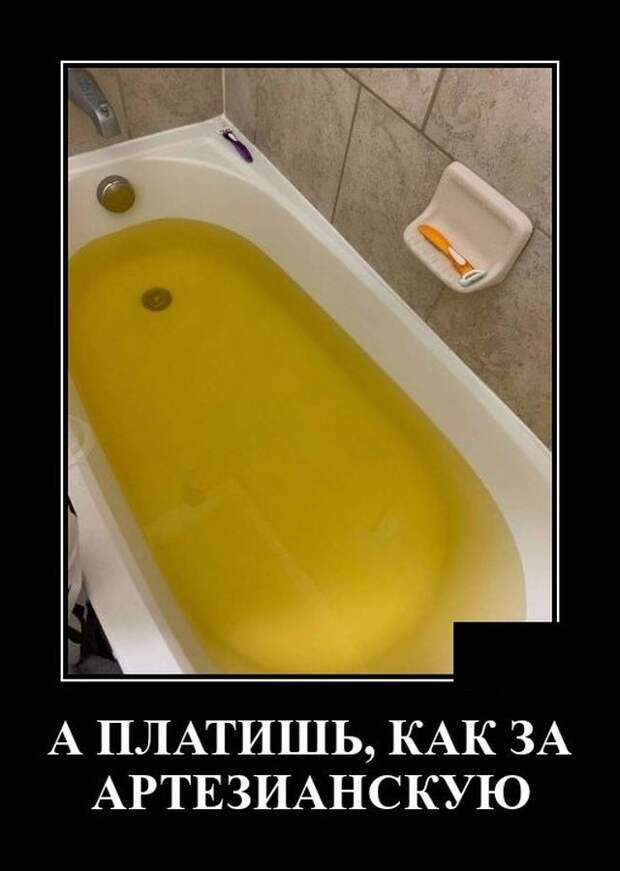 demotivatory-demotivator-smeshnye-demotivatory-demotivator-so-smyslom