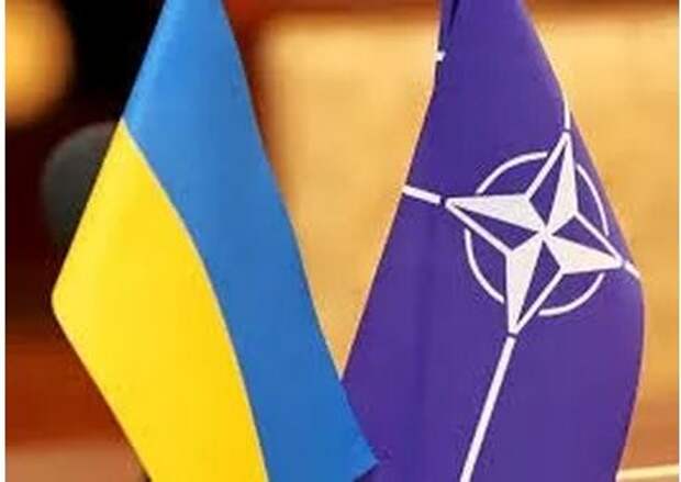 Украина может стать союзником НАТО в ближайшее время Украина может стать союзником НАТО в ближайшее время