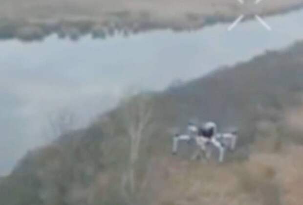 Российский боец сбил дроны ВСУ «хвостом дракона»