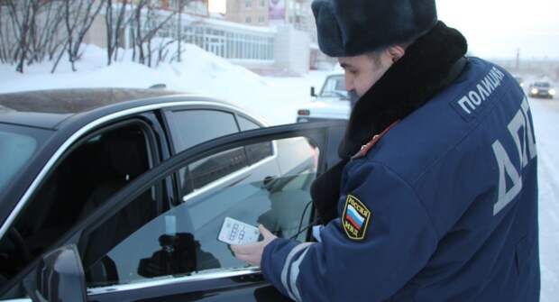 В ГИБДД объяснили, можно ли использовать шторки и сетки на передних стеклах ТС