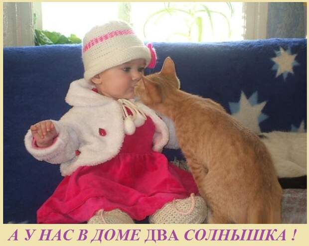 ВИннЕГРЕТ 146