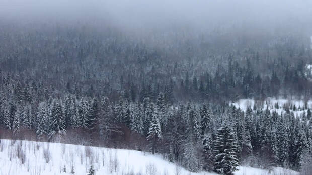 "Воздушный коридор" авиакатастроф: Выживший провёл 40 дней в тайге в 55-градусный мороз