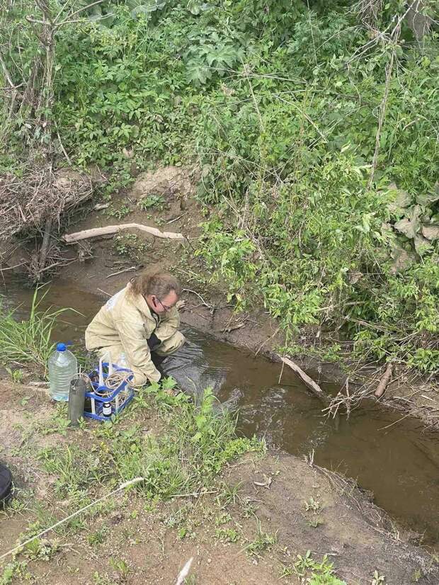 Гибель рыбы в реке Вала в Удмуртии могла произойти из-за сброса отходов животноводства