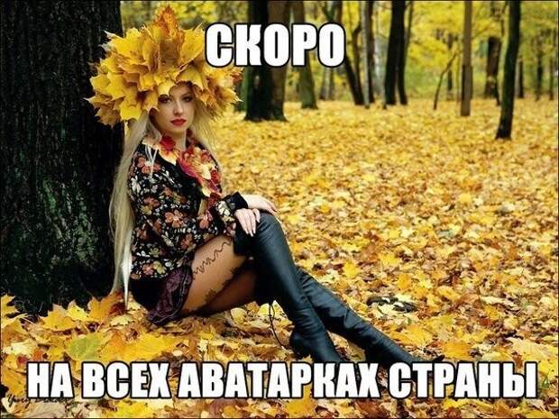 Смешные картинки с надписями прикол, юмор
