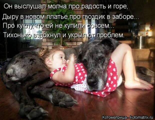 Котоматрицы(картинки с надписями)