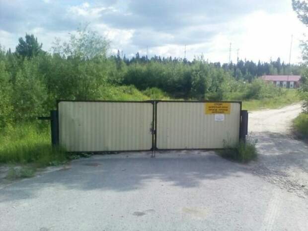 Приезжайте к нам в колхоз - куры, дуры и навоз