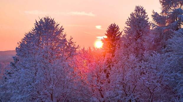 Лаборатория солнечной астрономии зафиксировала снижение активности Солнца