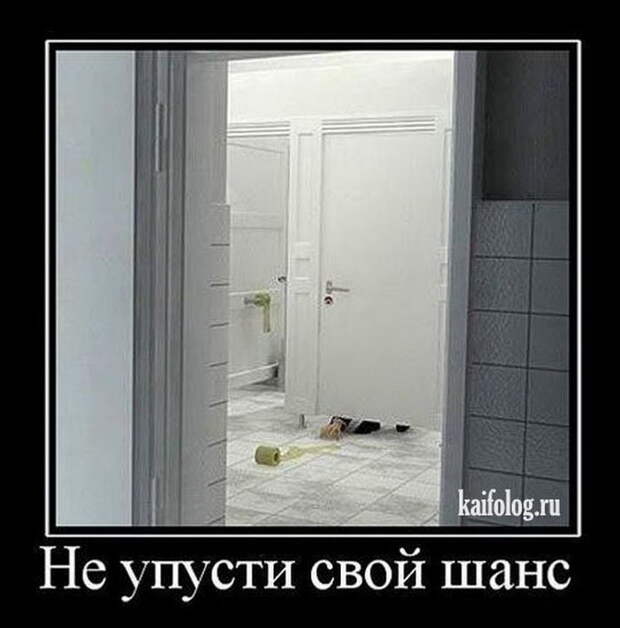 Демотиваторы - 137 (50 фото)