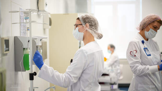 В подмосковном Реутове ввели карантин по бешенству