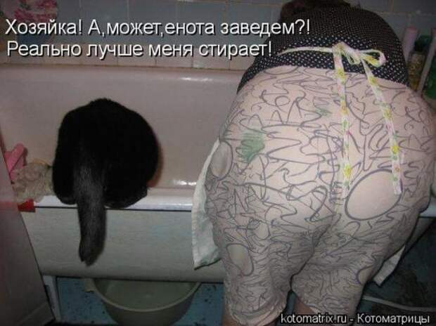 Котоматрицы(картинки с надписями)