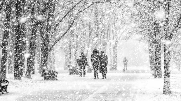 Более месячной нормы снега выпало за сутки во Владивостоке