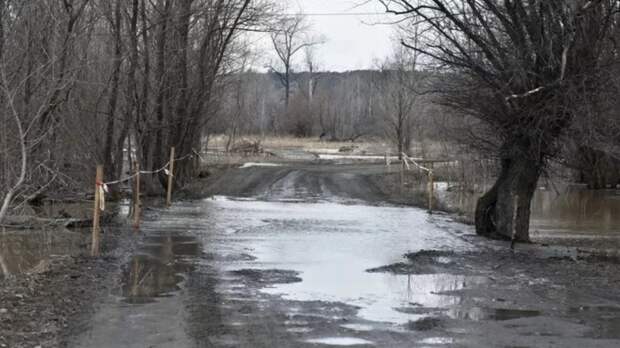 Вячеслав Франк проверил паводковую ситуацию в Затоне