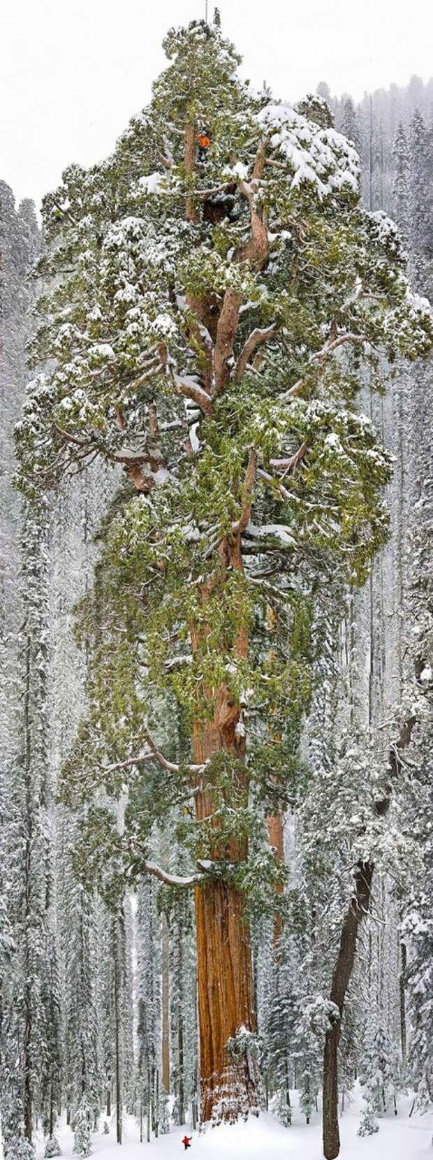 Фотографии, доказывающие, что человек — песчинка в этом мире