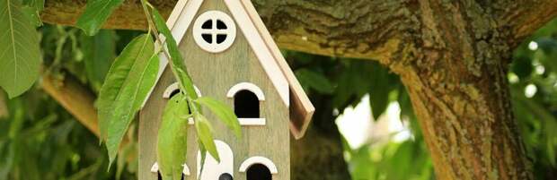 Лучшие скворечники выберут в Караганде