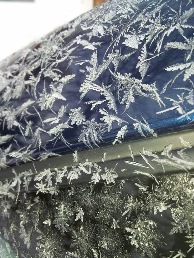 Фотография: Как мороз превращает автомобили в предметы искусства №5 - BigPicture.ru
