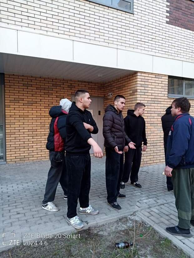 Дети мигрантов держат в страхе целый город в Московской области. Берут в  заложники детей и избивают взрослых. | Интересная жизнь с Vera Star | Дзен
