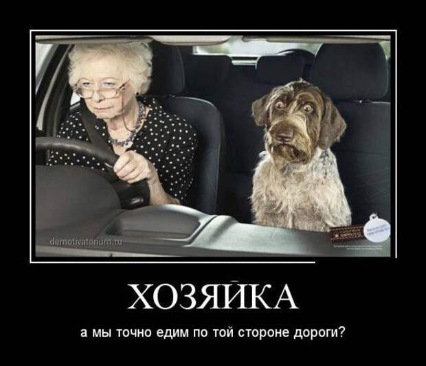 Демотиваторы, часть 46 (30 фото) Демотиваторы, часть 46 (30 фото)