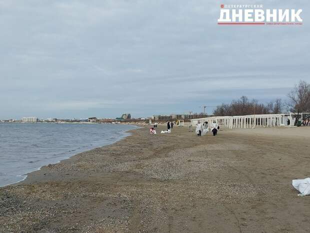 Побережье Черного моря после разлива мазута приведут к нормативному состоянию к началу летнего сезона