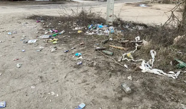 Власти Воткинска предложили горожанам самим убрать мусор