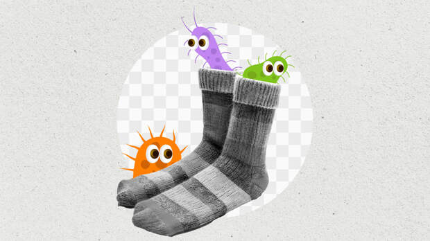 Кто живет в наших носках?