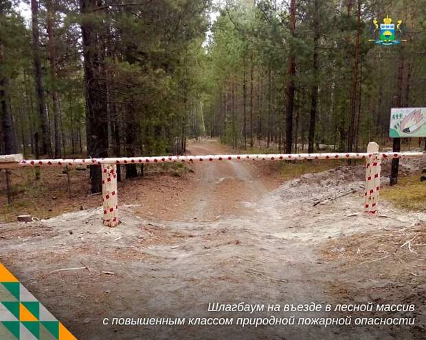 Работы по установке шлагбаумов проводятся в лесах Тюменской области
