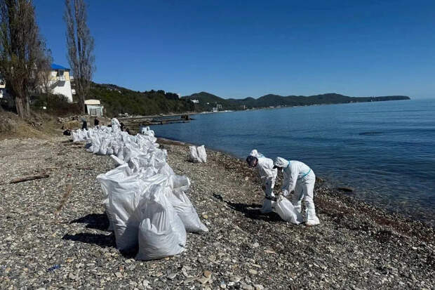 В реке Туапсе, куда разлилась нефть, установили заградительную дамбу