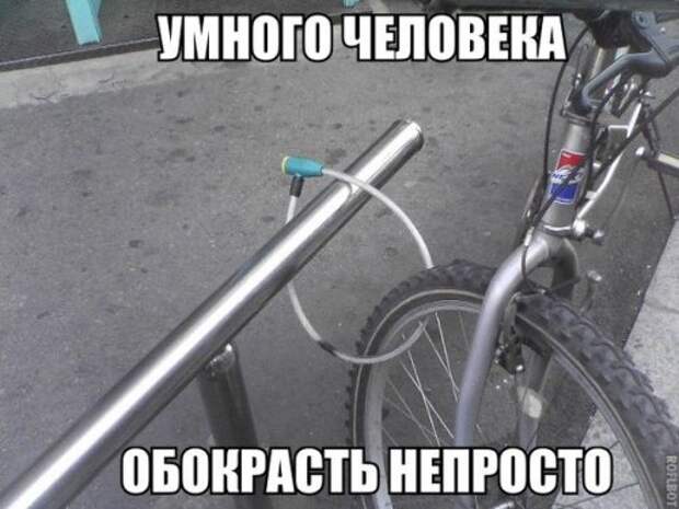 1447855840_fotomemy-2