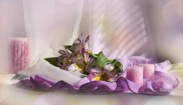 Цветы в фотографиях Натальи Кузнецовой (Nateletro)