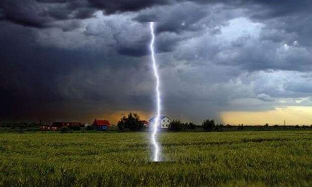 Интересные факты, которых вы могли не знать позновательное, события, мир, знаете ли вы, животные, факты, интересное