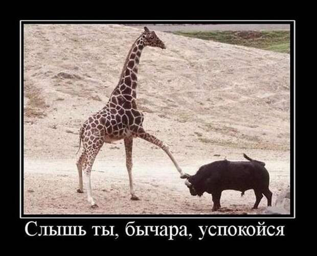 Всячина...