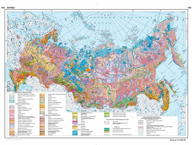 Карта почв России