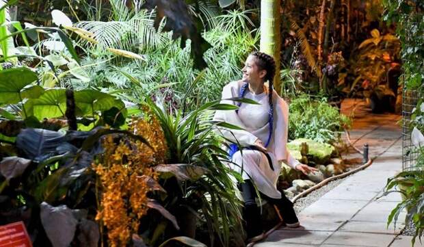 Экзотическая глициния расцвела в Аптекарском огороде