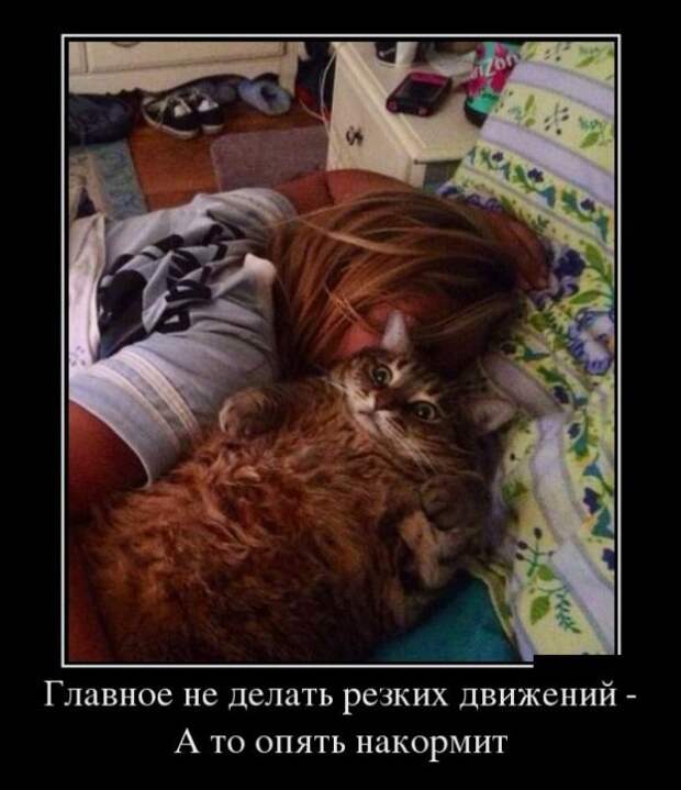 Обо всём.