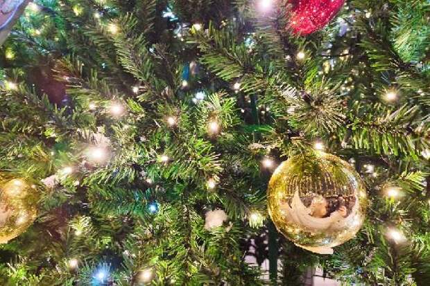 Афиша мероприятий на 11 января