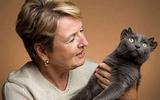 Знакомьтесь, это Йода - уникальная кошка с четырьмя ушами (фото)