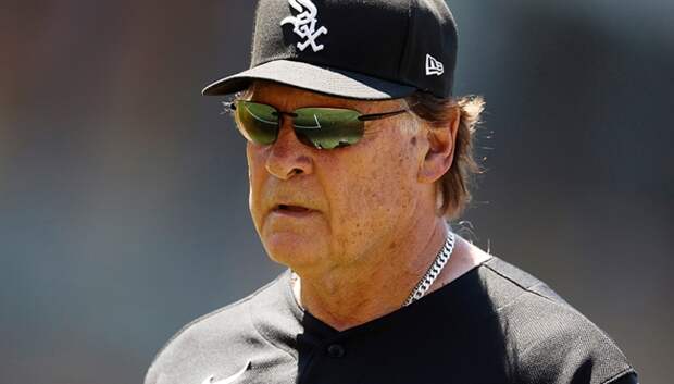 A Fan May Have Convinced Tony Tony La Russa To Put In A Pinch Runner