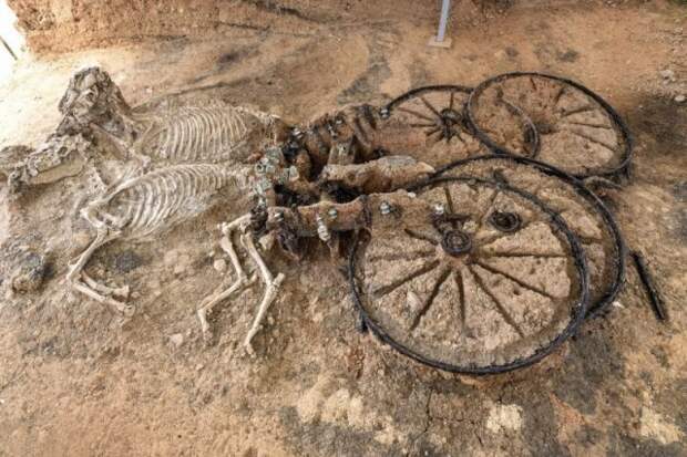 Фракийская колесница и конские скелеты. Болгария, возраст захоронения - 2000 лет. история, люди, мир, фото