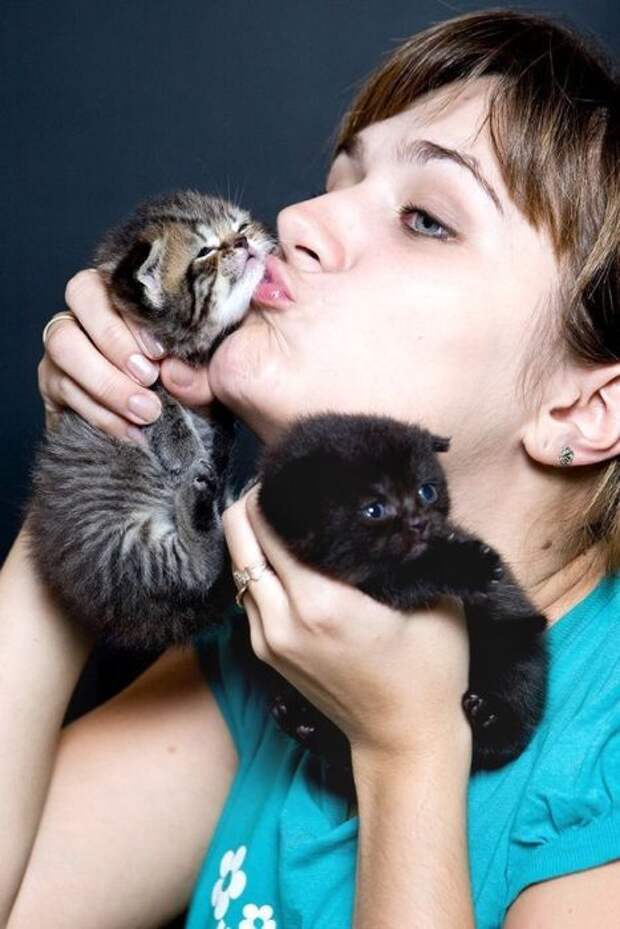 Смешные и милые kittens17