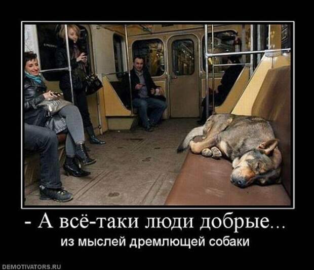 Развесёлые демотиваторы!