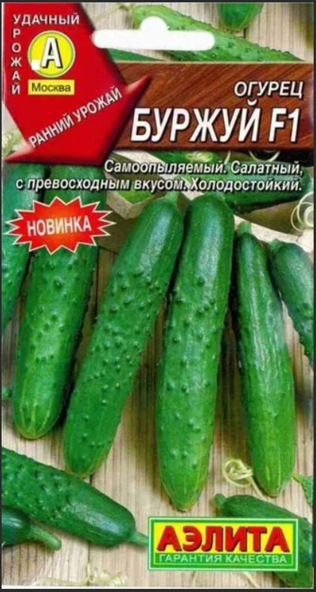 По улицам ходили большие крокодилы,а наши аллигаторы гибриды-огурцы .